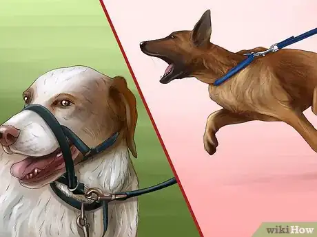 Image titled Know if a Head Halter Is Right for Your Dog Step 3