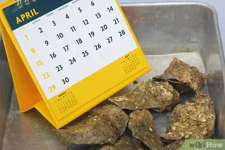 Image titled Fry Oysters Step 1