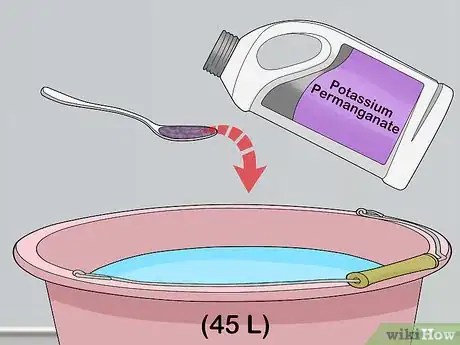 Image titled Grow Duckweed Step 2