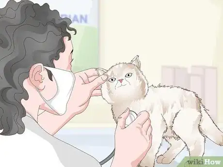 Image titled Prevent Stones in Cats Step 9