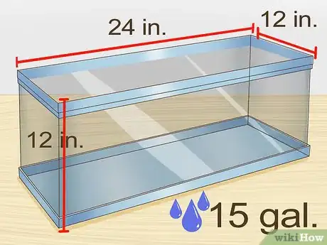 Image titled Care for Fire Belly Toads Step 1