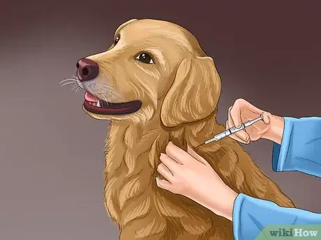 Image titled Get the Right Stuff for Your New Puppy Step 7