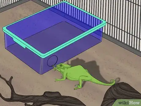 Image titled Help a Shedding Pet Reptile Step 5