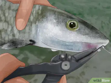Image titled Hold a Fish Step 8