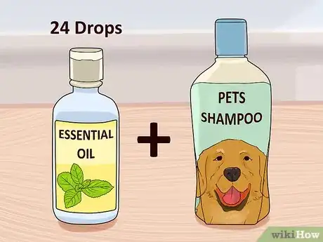 Image titled Holistically Care for a Dog Step 9