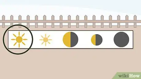 Image titled Grow Melons Step 1