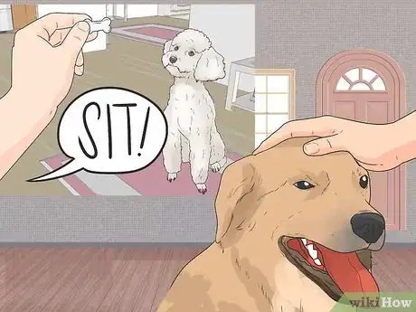 Image titled Teach a Dog to Read Sign Language Step 8