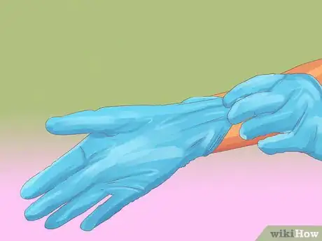 Image titled Collect Bodily Fluid Samples from a Cat Step 14