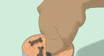 Make a Doggie Birthday Cake