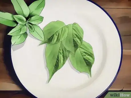 Image titled Grow Amaranth Flowers Step 9