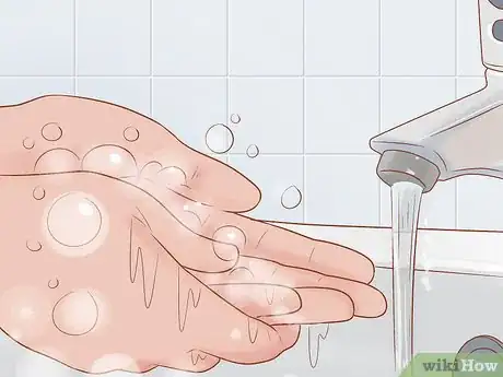 Image titled Give Selamectin to Cats with Parasites Step 7