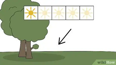 Image titled Plant Monkey Grass Step 1