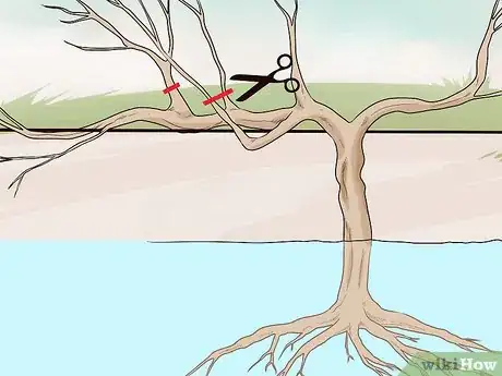 Image titled Prune Vines Step 9