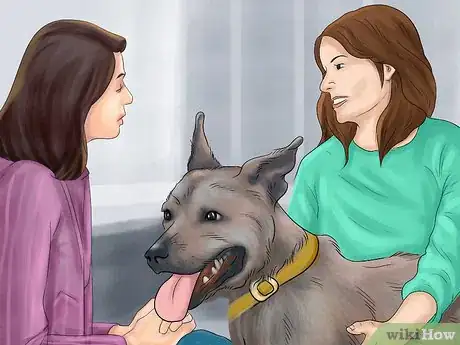 Image titled Feel Comfortable Around Big Dogs Step 1