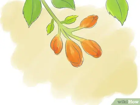 Image titled Prune a Trumpet Vine Step 10