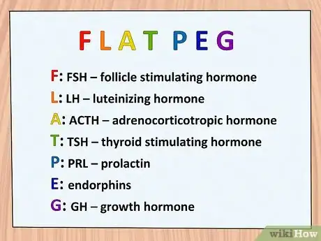 Image titled Study the Functions of Protein Hormones in Humans Step 10