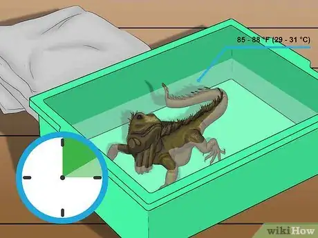 Image titled Help a Shedding Pet Reptile Step 6