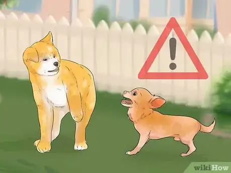 Image titled Understand Small Dog Syndrome Step 1