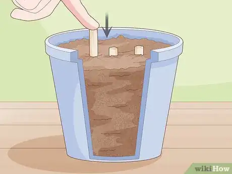 Image titled Take Root Cuttings Step 8