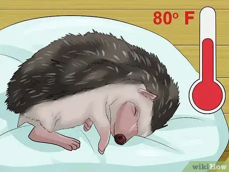 Image titled Help Your Hedgehog Get Used to Handling Step 13