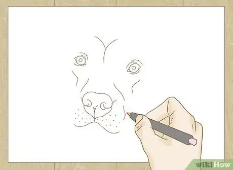 Image titled Draw a Pitbull Step 16