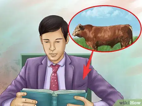 Image titled Identify Gelbvieh Cattle Step 3