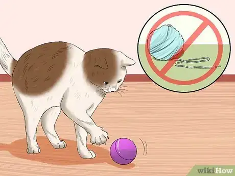 Image titled Protect Your Cat from Household Hazards Step 8