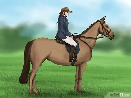 Image titled Teach a Horse to Do a Sliding Stop Step 12
