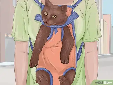 Image titled Capture an Angry or Upset Cat Step 16