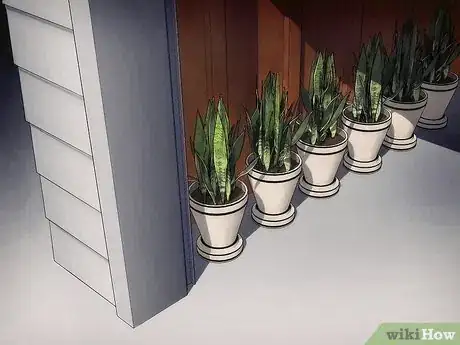 Image titled Overwinter Tropical Plants Step 9