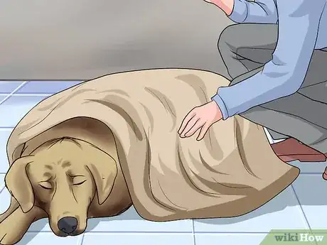 Image titled Approach an Injured Animal Step 12