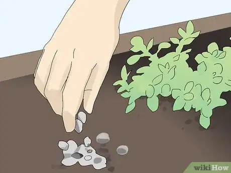 Image titled Create a Fairy Garden Step 12