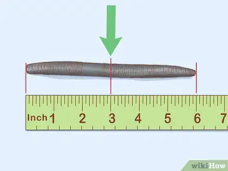 Image titled Fish Senko Step 13