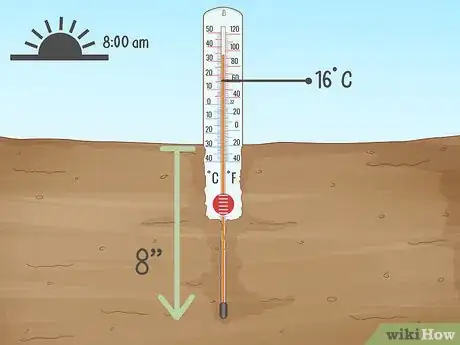 Image titled Plant Cotton Seeds Step 3