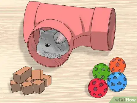 Image titled Manage Fur Slip in Chinchillas Step 7