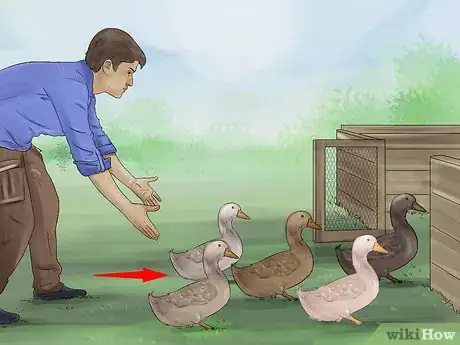 Image titled Train Ducks Step 4