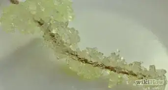 Make a Crystal Garden