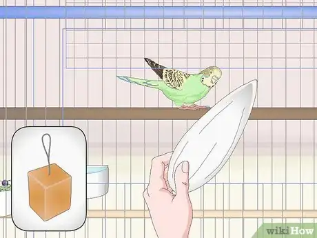 Image titled Own a Parakeet Step 11