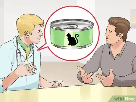 Image titled Keep an Old Cat Young at Heart Step 8