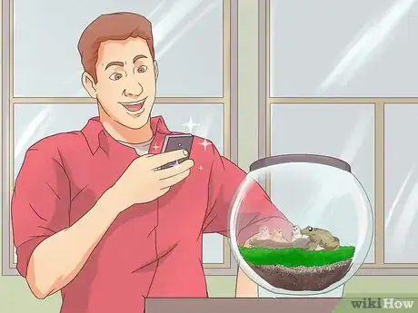 Image titled Make Moss Terrariums Step 21