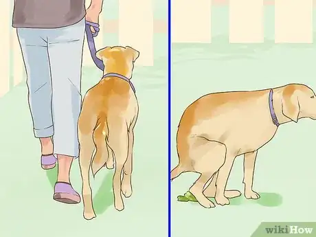 Image titled Set Consistent Limits for a New Dog Step 7