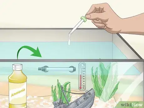Image titled Build a Freshwater Predator Fish Aquarium Step 8