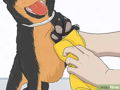 Image titled Wash a Dog's Paws Step 2