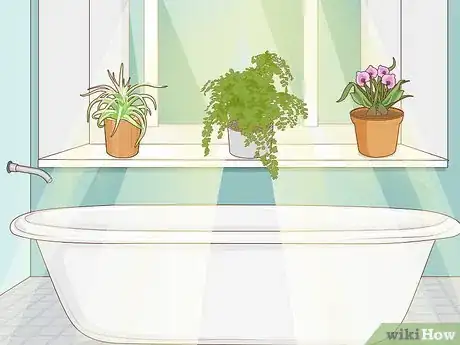 Image titled Create Humidity for Indoor Plants Step 12