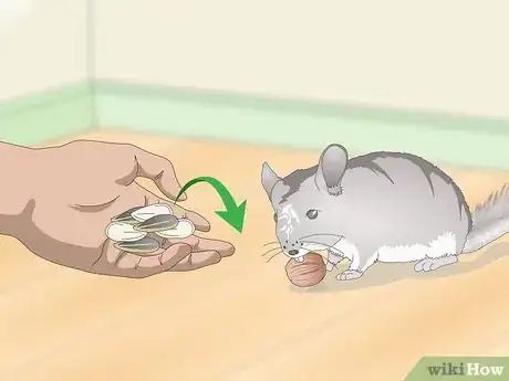 Image titled Supplement Nutrients in Your Chinchilla's Diet Step 6