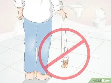 Image titled Hand Feed a Hermit Crab Step 5