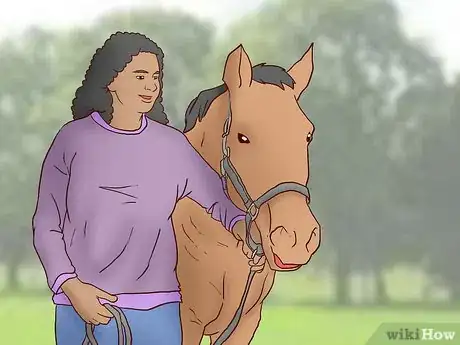Image titled Teach a Horse to Come when Called Step 9