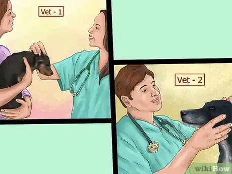 Image titled Know when to Find a New Vet Step 4