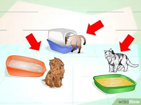 Image titled Keep Your Cat from Urinating Where It Shouldn't Step 2