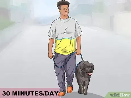Image titled Exercise Your Dog Step 9